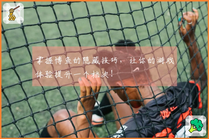 掌握博鱼的隐藏技巧,让你的游戏体验提升一个档次!