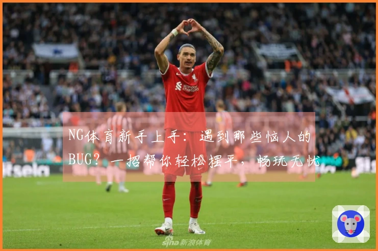 NG体育新手上手：遇到那些恼人的BUG？一招帮你轻松摆平，畅玩无忧！