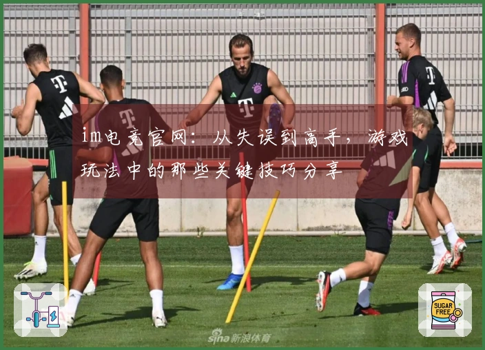 im电竞官网：从失误到高手，游戏玩法中的那些关键技巧分享