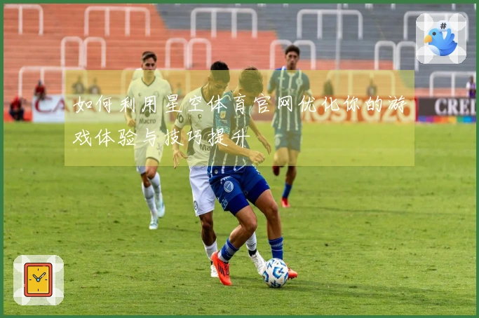 如何利用星空体育官网优化你的游戏体验与技巧提升