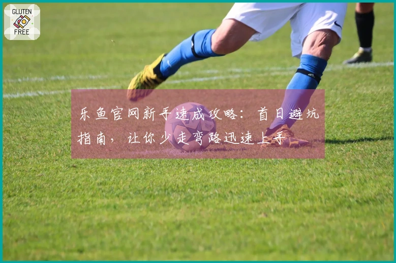 乐鱼官网新手速成攻略：首日避坑指南，让你少走弯路迅速上手