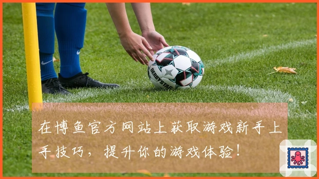 在博鱼官方网站上获取游戏新手上手技巧，提升你的游戏体验！