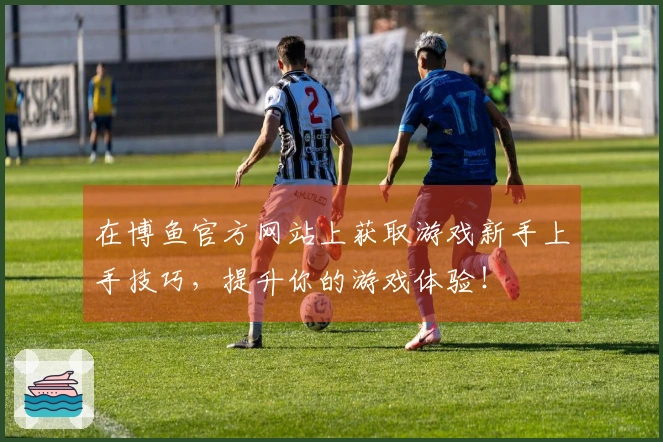 在博鱼官方网站上获取游戏新手上手技巧，提升你的游戏体验！